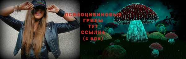 твердый Алексин