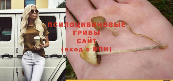 твердый Алексин