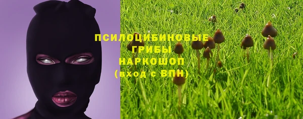 эйфоретик Алзамай
