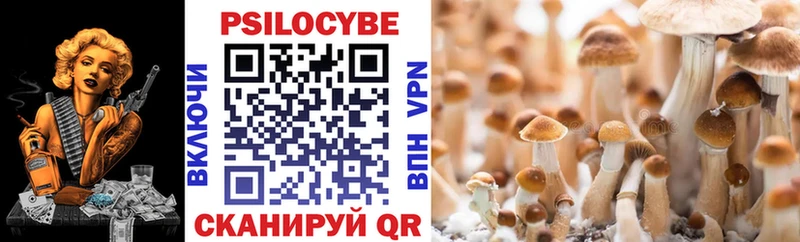 Псилоцибиновые грибы Psilocybine cubensis  Кашин 